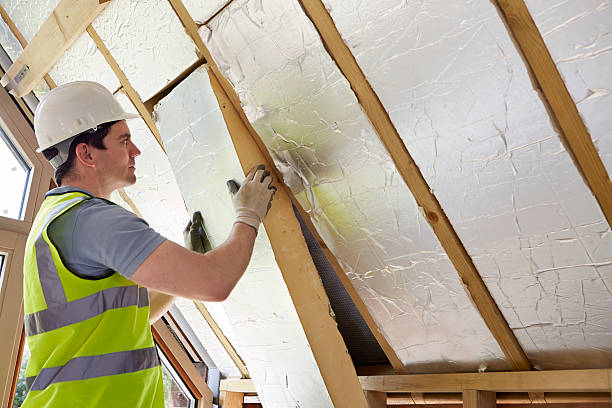Best Eco-Friendly Insulation in Teague, TX
